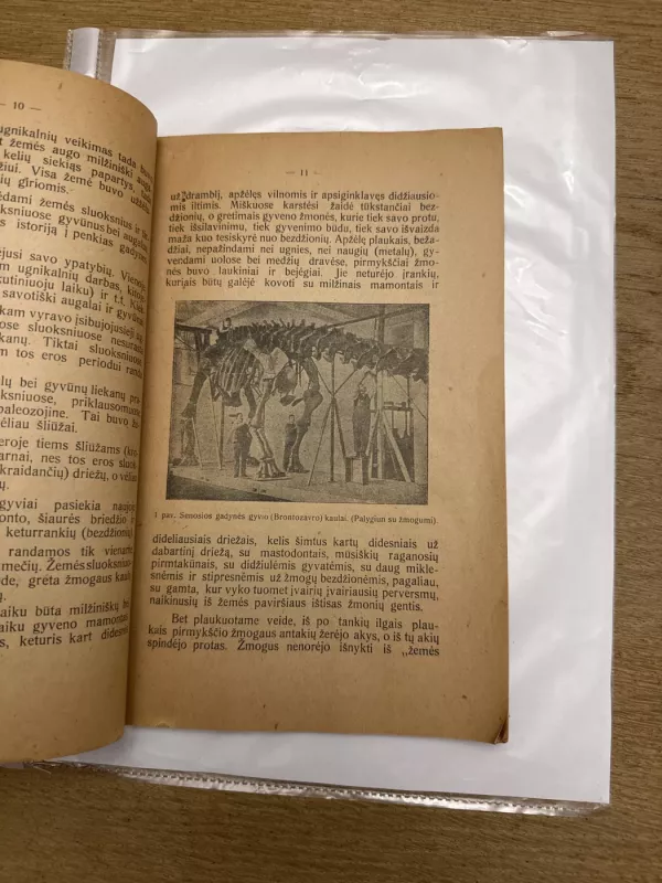 Istorija vidurinei mokyklai. Priešistoriniai laikai - A. Busilas, knyga 4