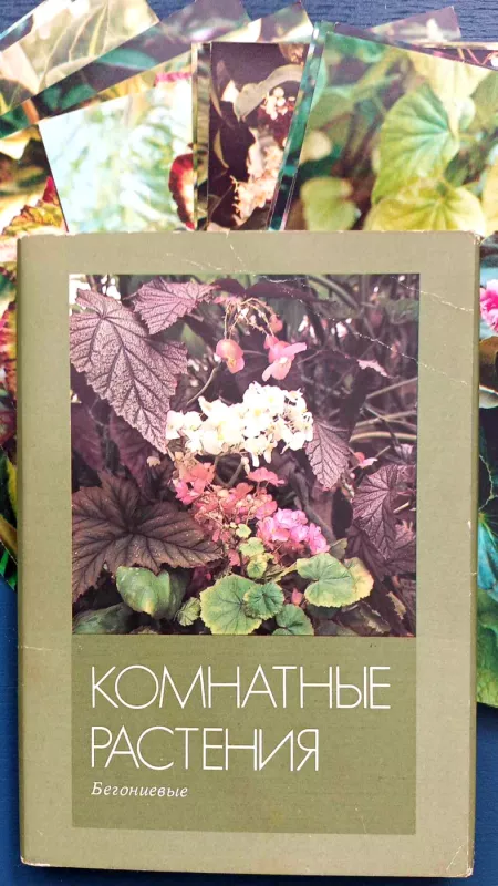 Atvirukų rink. "Kambariniai augalai", 16 atvirukų, rusų k. - A.Šachovas, knyga 5