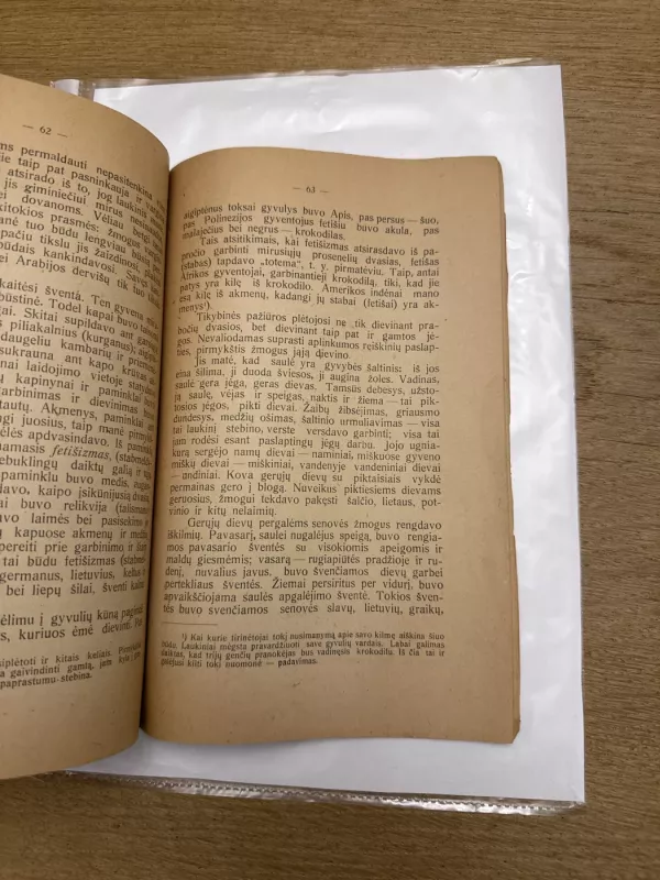 Istorija vidurinei mokyklai. Priešistoriniai laikai - A. Busilas, knyga 6