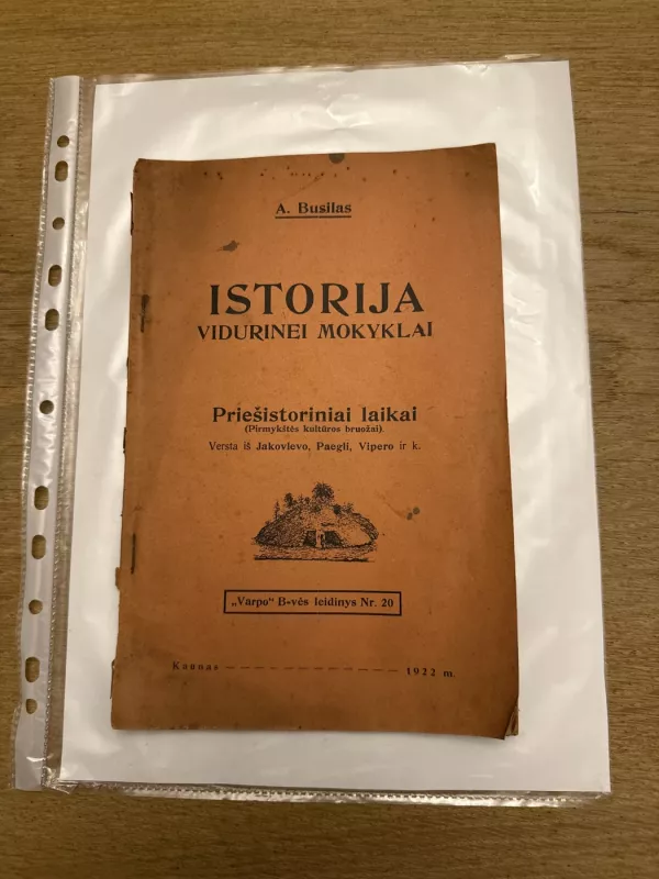 Istorija vidurinei mokyklai. Priešistoriniai laikai - A. Busilas, knyga 2