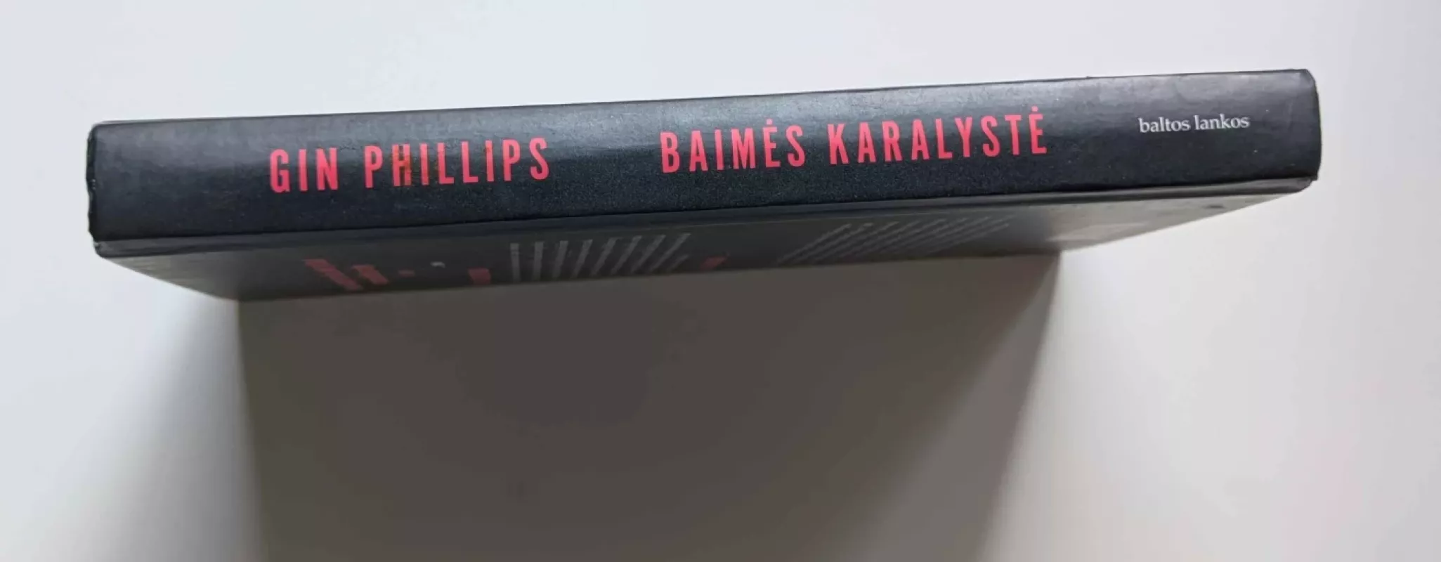 Baimės karalystė - Gin Phillips, knyga 3