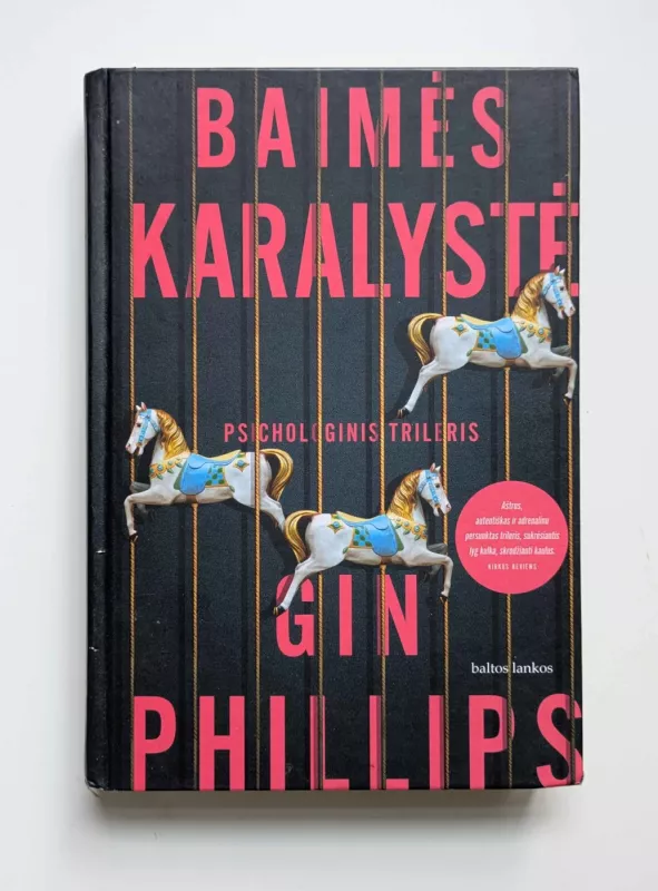 Baimės karalystė - Gin Phillips, knyga 2