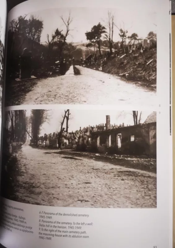 Paminklas paminklui. A memorial for a monument - Rimantas Dichavičius, knyga 4