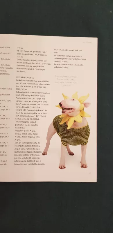 Mezginiai jūsų šuniui - Alison Jenkins, knyga 5