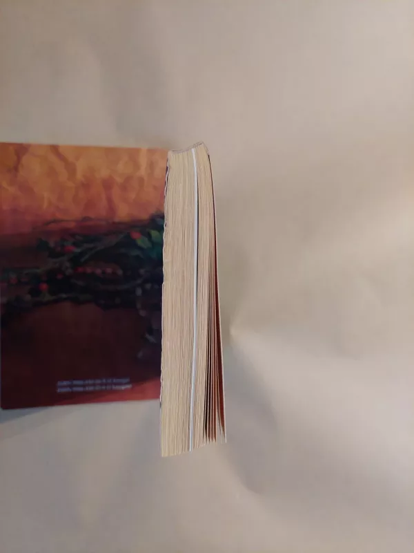 Barbora Radvilaitė - Raimonda Ragauskienė, knyga 3