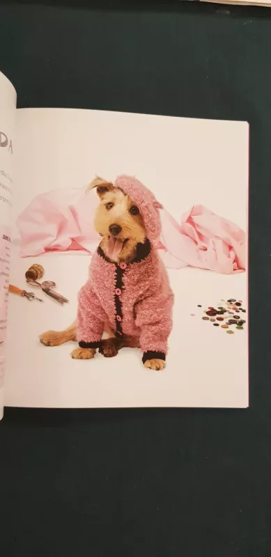 Mezginiai jūsų šuniui - Alison Jenkins, knyga 4