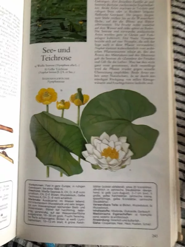 Augalų paslaptys ir gydomosios galios (enciklopedija vokiečių kalba) - Autorių Kolektyvas, knyga 6