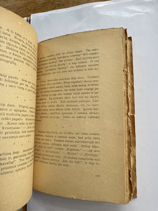 Palangos Juzė - Motiejus Valančius, knyga 5