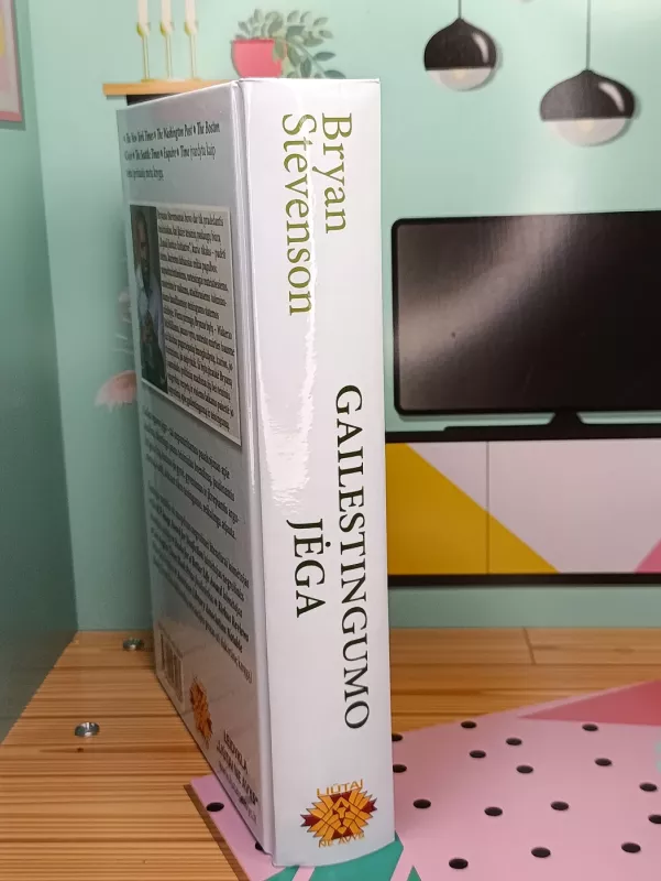 Gailestingumo jėga - Bryan Stevenson, knyga 3