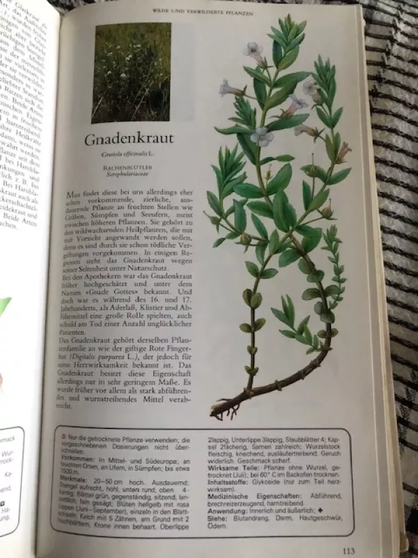 Augalų paslaptys ir gydomosios galios (enciklopedija vokiečių kalba) - Autorių Kolektyvas, knyga 3