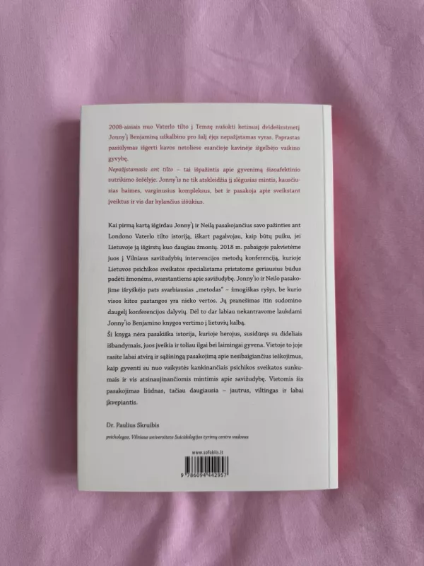 Nepažįstamasis ant tilto - Jonny Benjamin Britt Pflüger, knyga 3