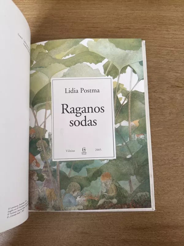 Raganos sodas - Lidia Postma, knyga 3