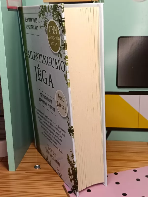 Gailestingumo jėga - Bryan Stevenson, knyga 4