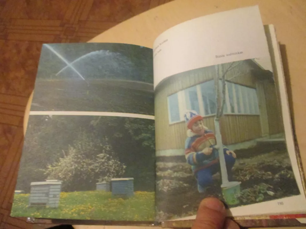 Jaunajam sodininkui - Stasys Švirinas, knyga 6