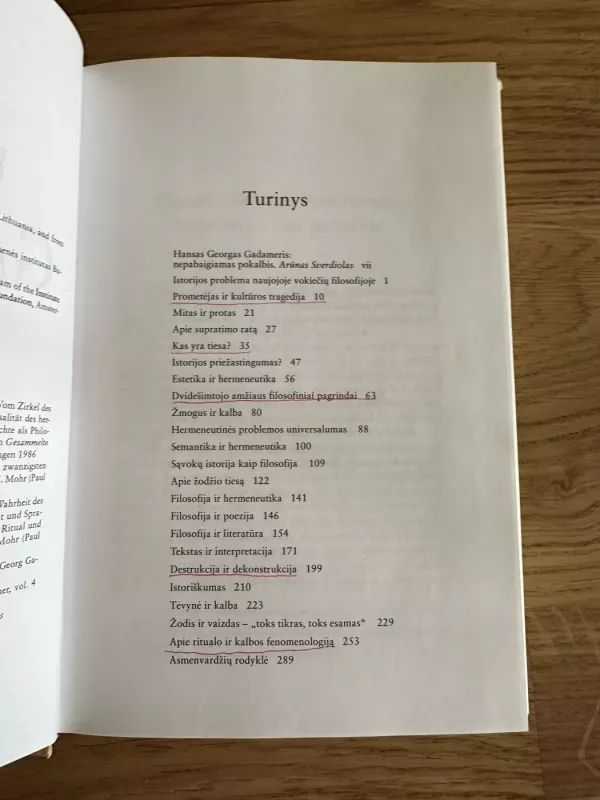 Istorija. Menas. Kalba - Hans-Georg Gadamer, knyga 4