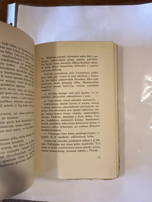 Vaišvila - S. Vaineikienė, knyga 4