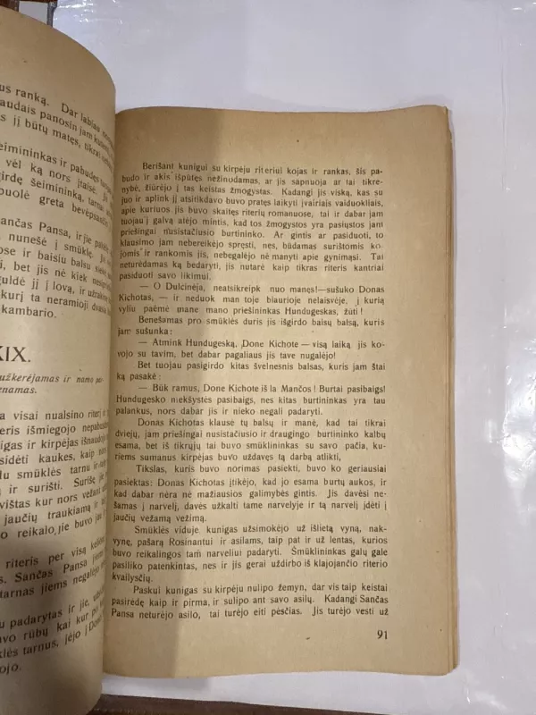 Kelionės ir nuotykiai tauriojo riterio Dono Kichoto iš la Mančos - Miguel de Cervantes Saavedra, knyga 6