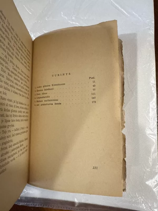 Kiemėnų kaimas - Petras Rimkūnas, knyga 5