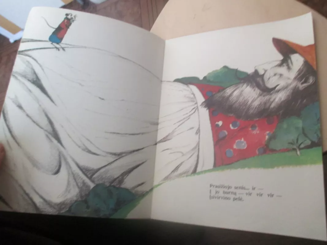 Milžinas ir pelė - Martynas Vainilaitis, knyga 5