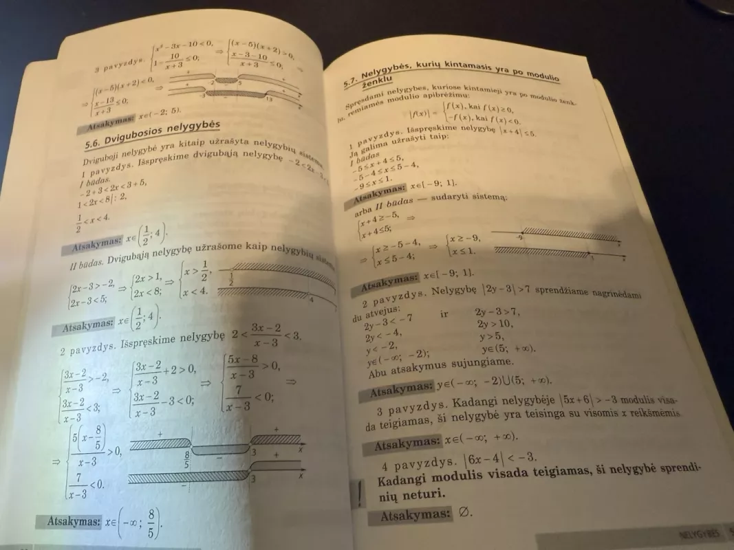 Matematika: prisiminkime ir pakartokime - Rita Jonaitienė, Ilona Knyzelienė, Lionė Čaikauskienė, knyga 5