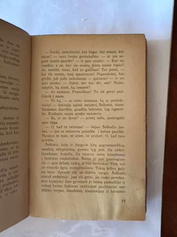 Meisteris ir Sūnus - Petras Cvirka, knyga 4