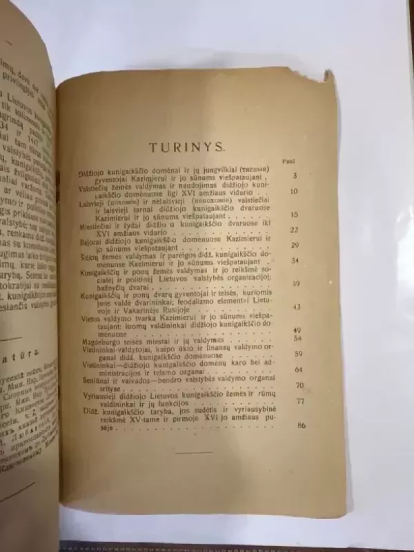 Lietuvos istorija ligi Liublino unijos ,  II dalis - M. Liubavskis, knyga 6