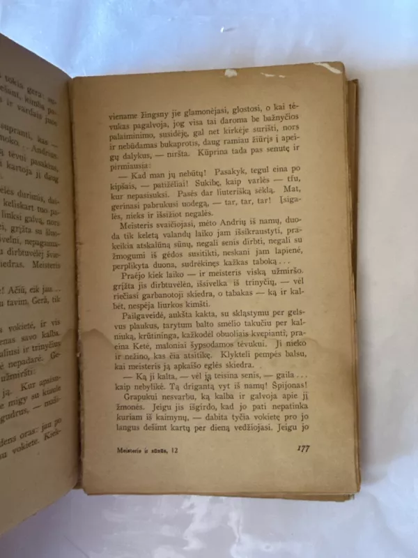 Meisteris ir Sūnus - Petras Cvirka, knyga 6