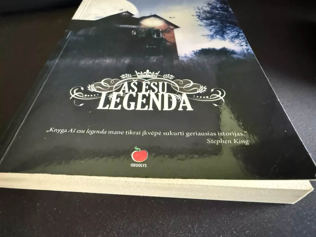 Aš esu legenda - Richard Matheson, knyga 6