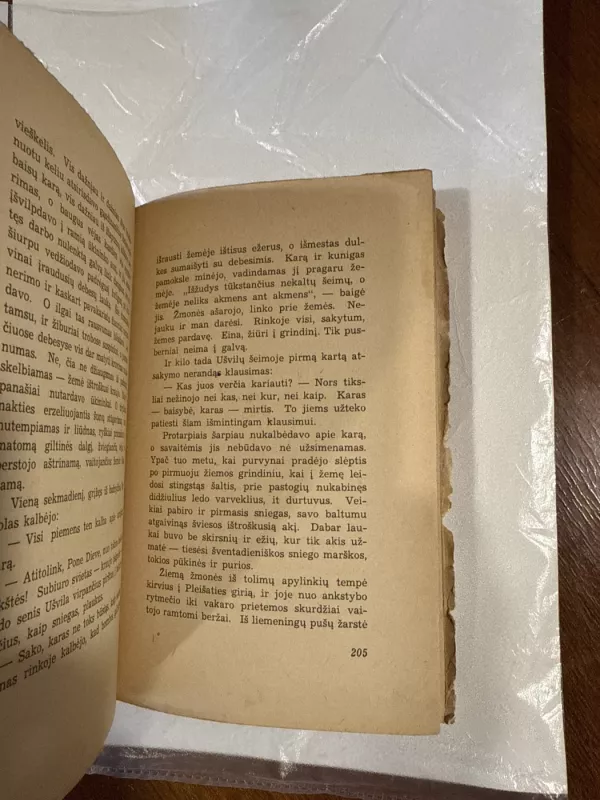 Kiemėnų kaimas - Petras Rimkūnas, knyga 6