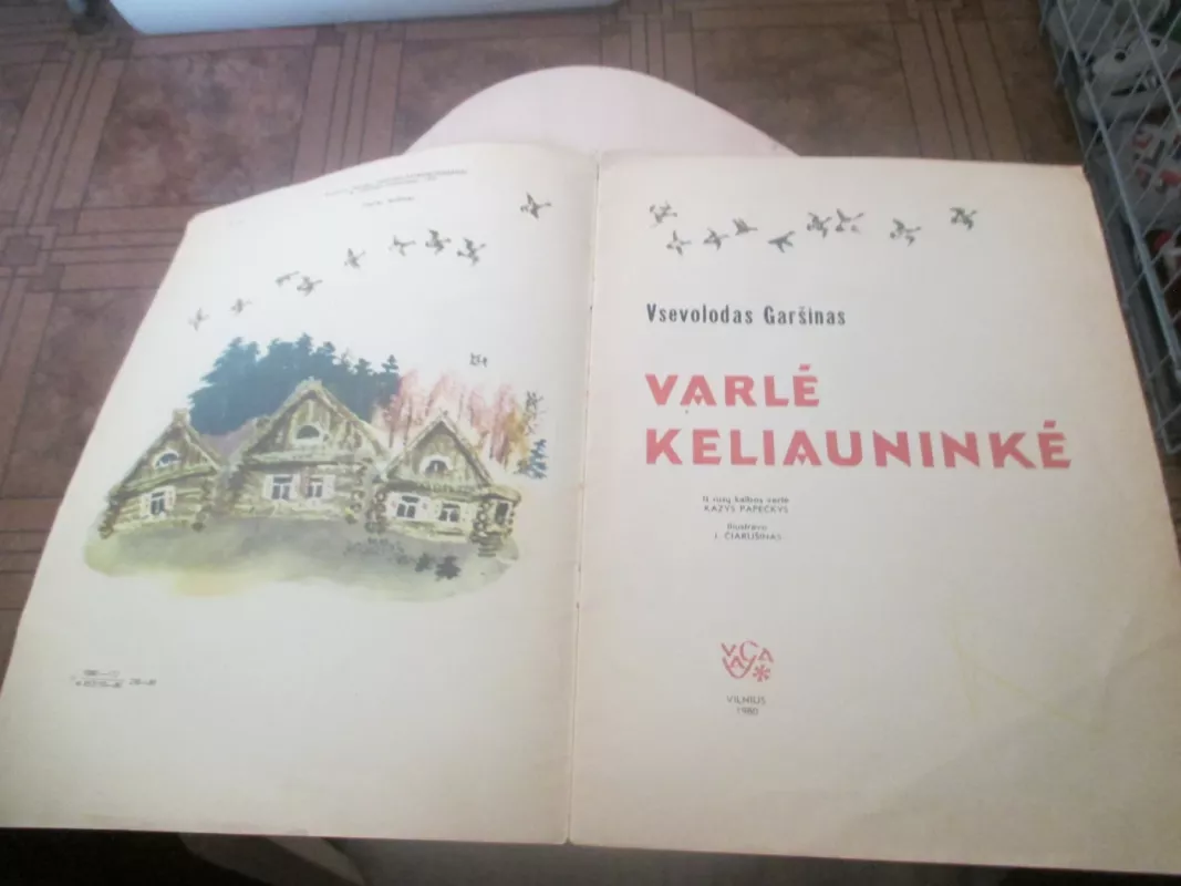 Varlė keliauninkė - Vsevolodas Garšinas, knyga 6