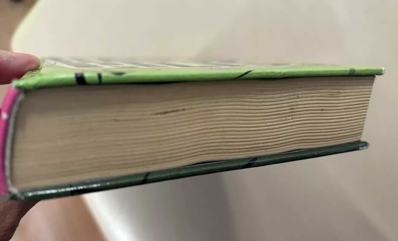 Keliaujanti Haulo pilis - Diana Wynne Jones, knyga 4