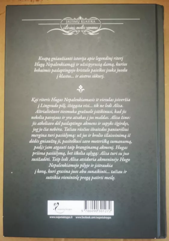 Paslapčių labirintai - Amanda Quick, knyga 3