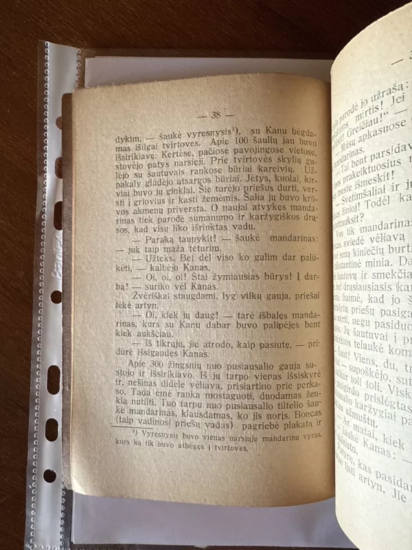 Broliai Jankai ir bokseriai - Spillmann J., knyga 5