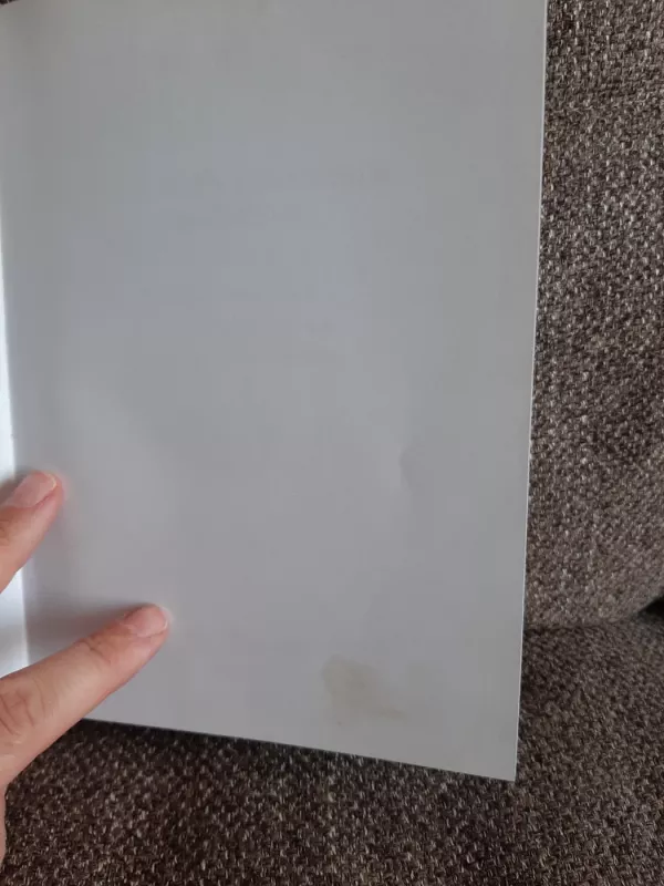 Netiesinės dinamikos pagrindai. Vadovėlis - Kęstutis Pyragas, knyga 3