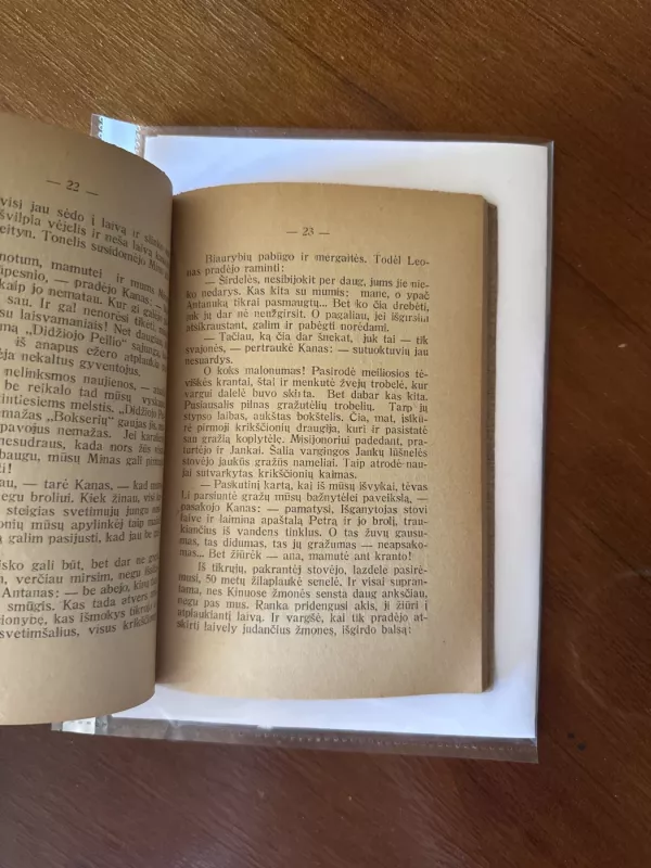 Broliai Jankai ir bokseriai - Spillmann J., knyga 4