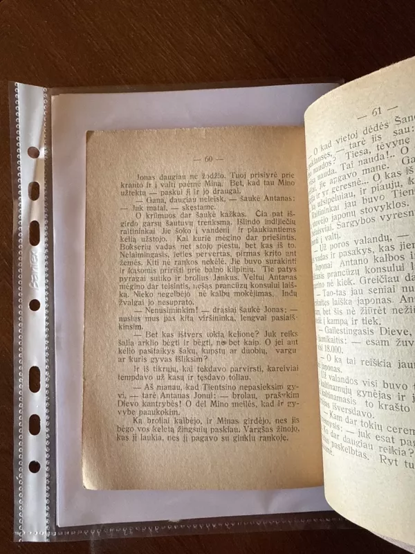 Broliai Jankai ir bokseriai - Spillmann J., knyga 6