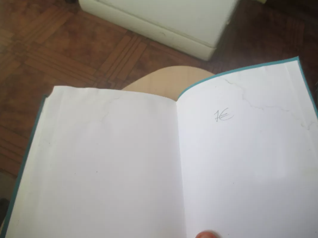 INCOGNITO slaptieji smegenų gyvenimai - David Eagleman, knyga 6