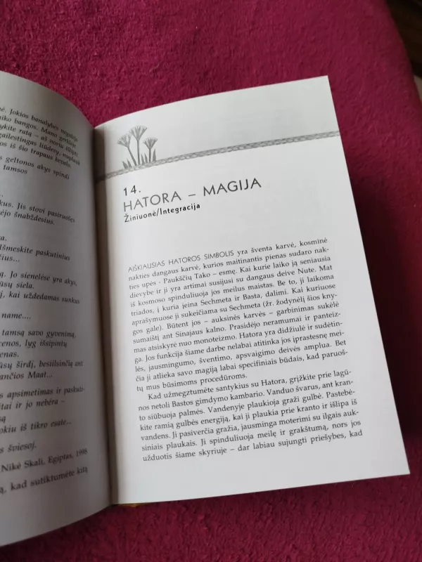 Šamaniškos Egipto misterijos - Nicki Scully, Linda Star Wolf, knyga 4