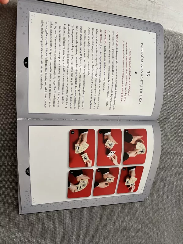 Kaip pradanginti dramblį ir kiti nesudėtingi triukai - Mantas Wizard, knyga 6