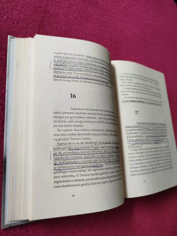 Nepakeliama būties lengvybė - Milan Kundera, knyga 4