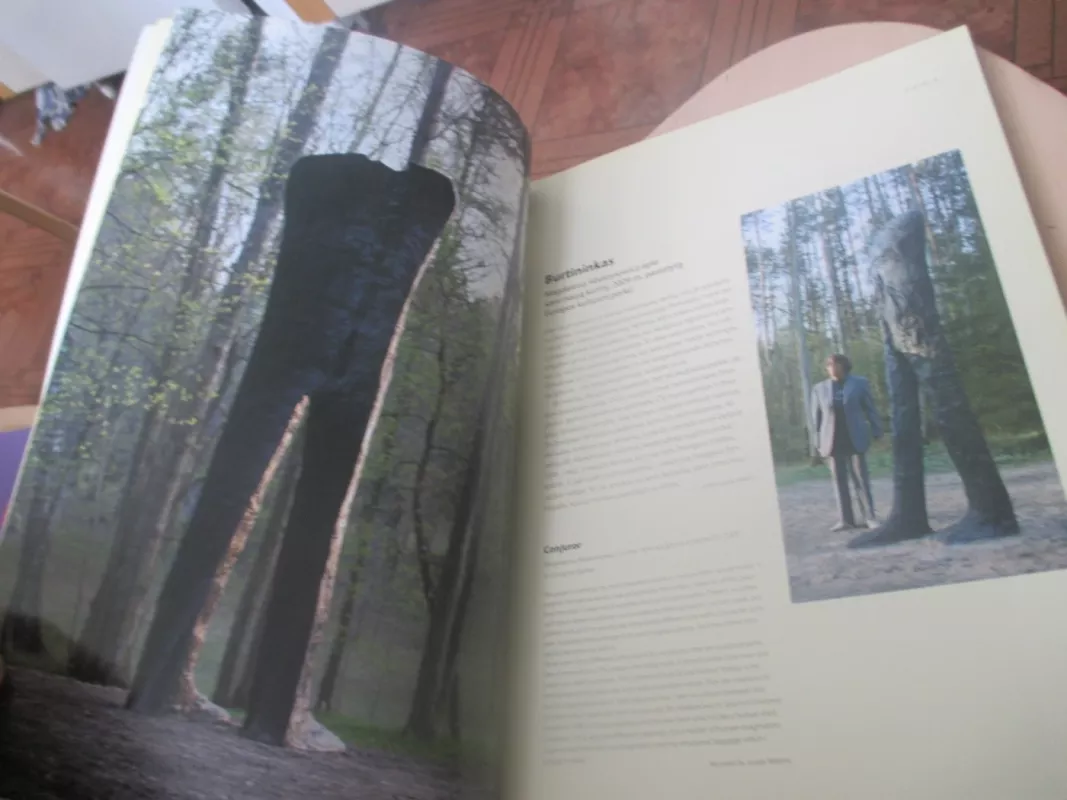 Dailė art' 2009/1 - Autorių Kolektyvas, knyga 6