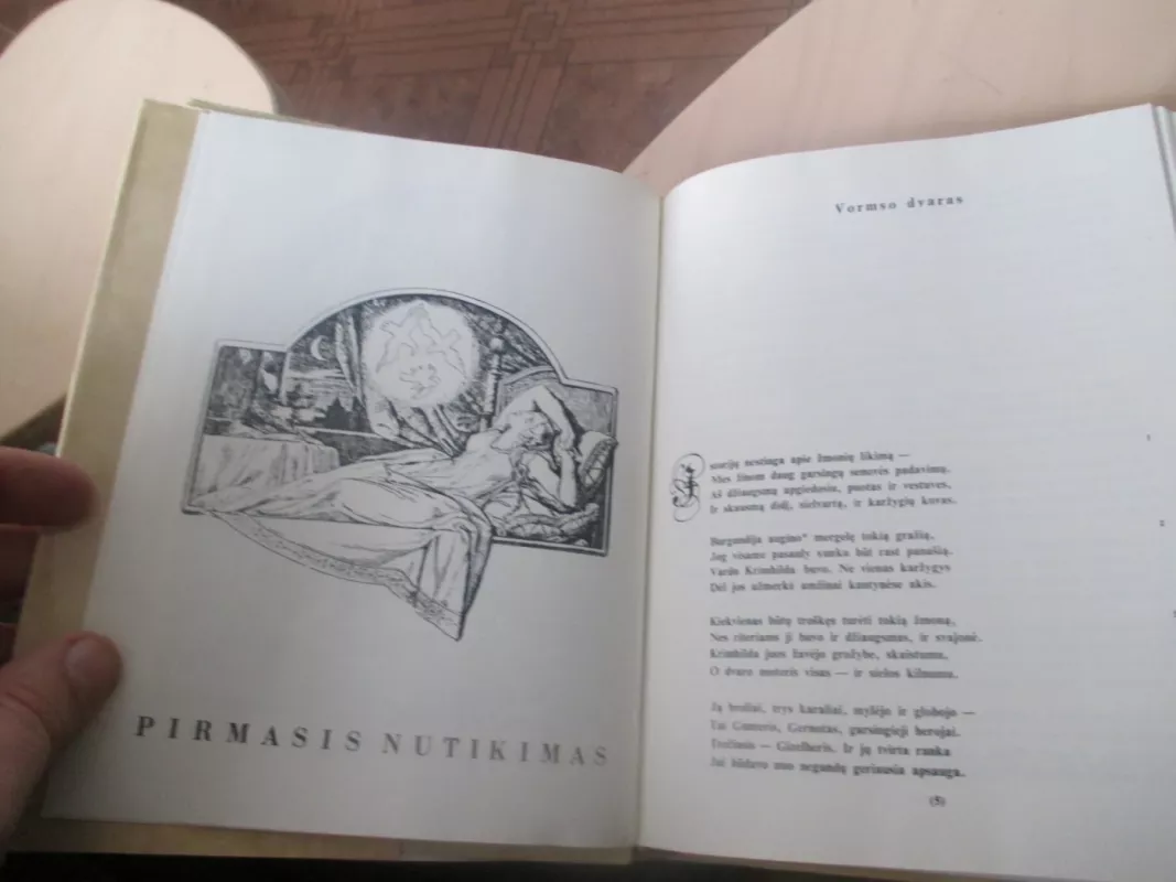 Nibelungų giesmė - Autorių Kolektyvas, knyga 6