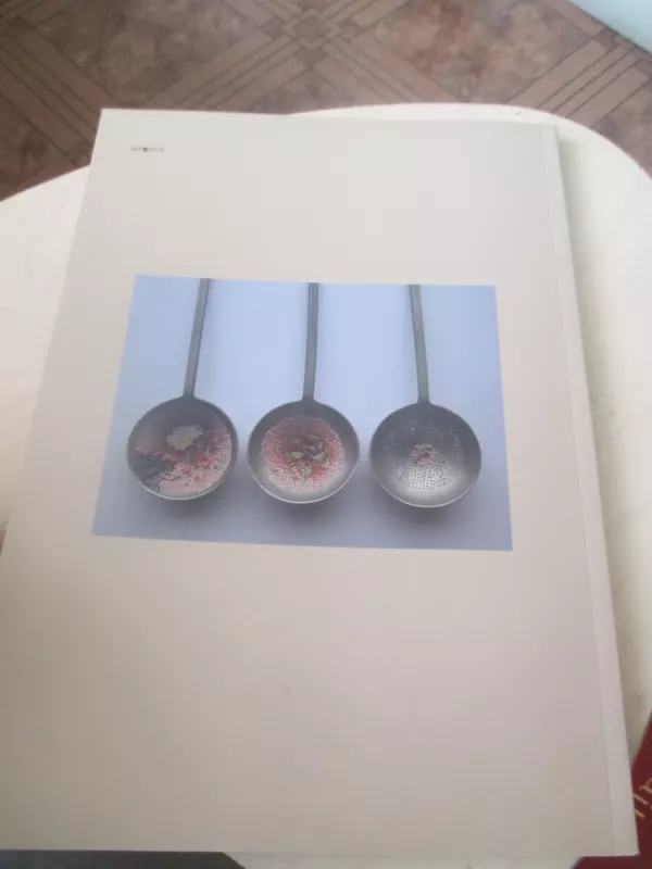 Dailė art' 2009/1 - Autorių Kolektyvas, knyga 4