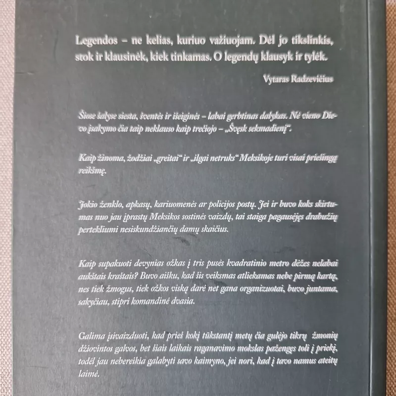 Įstrigę centrinėje Amerikoje - Martynas Starkus, knyga 3