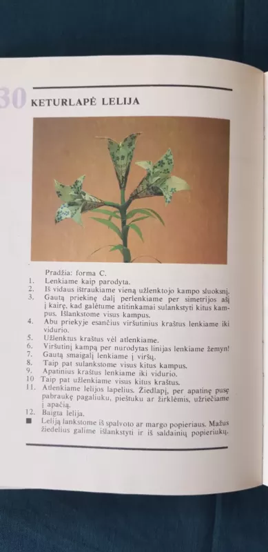 Susipažinkite-origamis - Jūratė Paulionytė, knyga 6