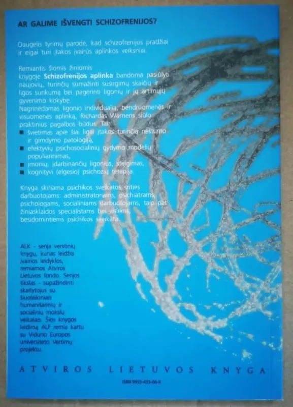 Schizofrenijos aplinka: praktikos, politikos ir komunikacijos naujovės - Richard Warner, knyga 3