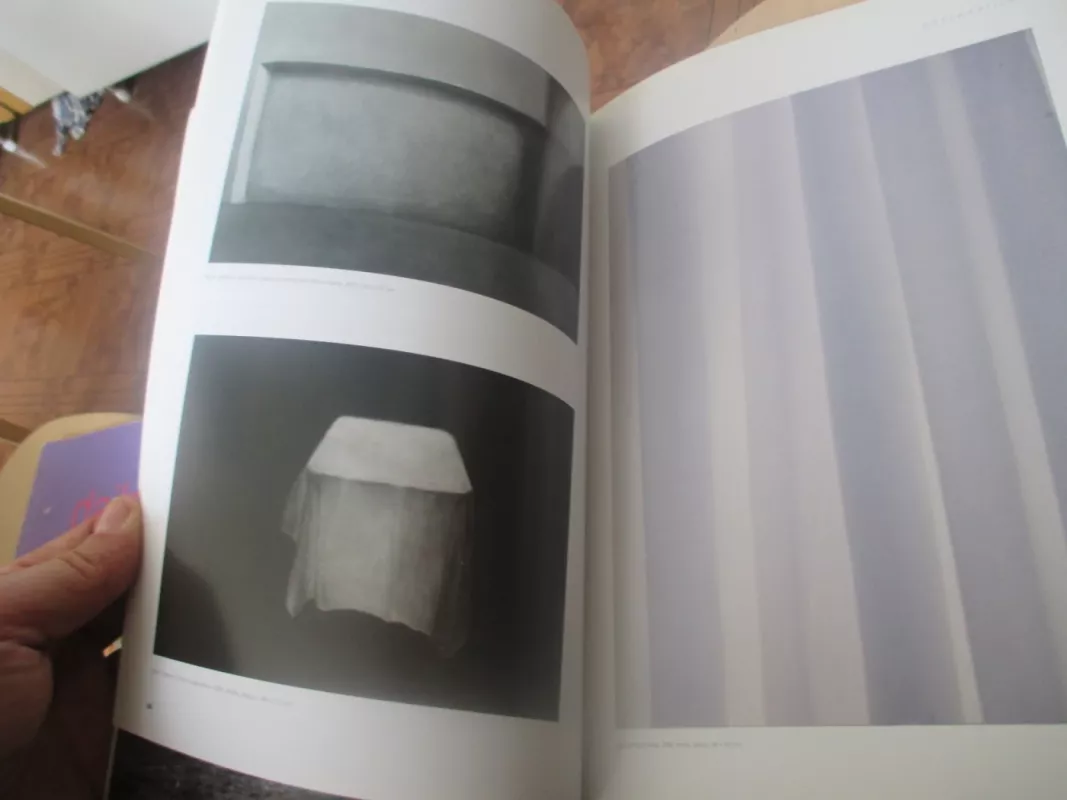 Dailė art' 2009/1 - Autorių Kolektyvas, knyga 5