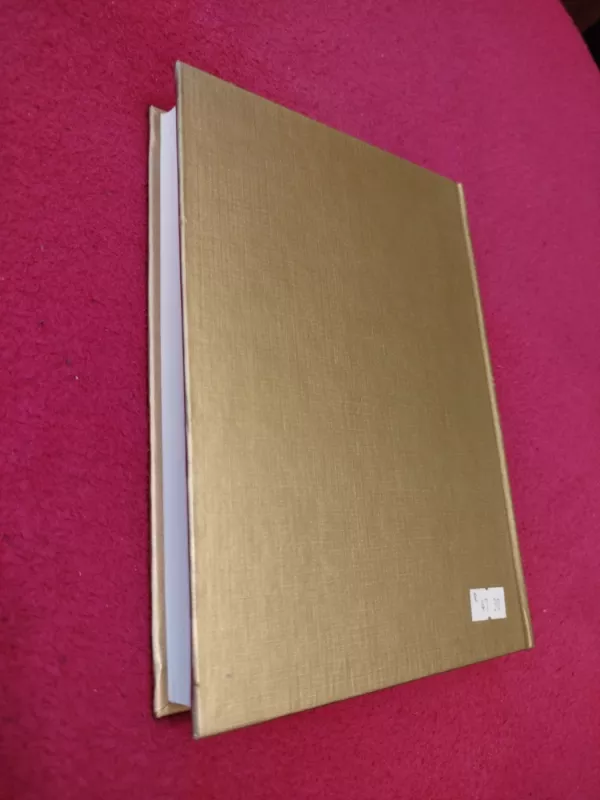 Astrėja Antropoteosofija žmogaus suvokiama Dieviškoji išmintis - Audronė Ilgevičienė - Astrėja, knyga 5