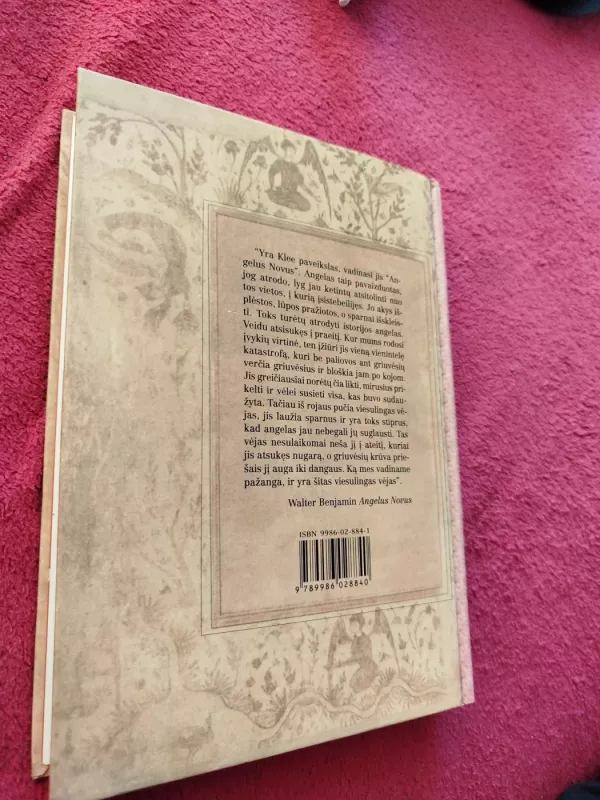 Istorijos filosofija - Jūratė Baranova, knyga 6