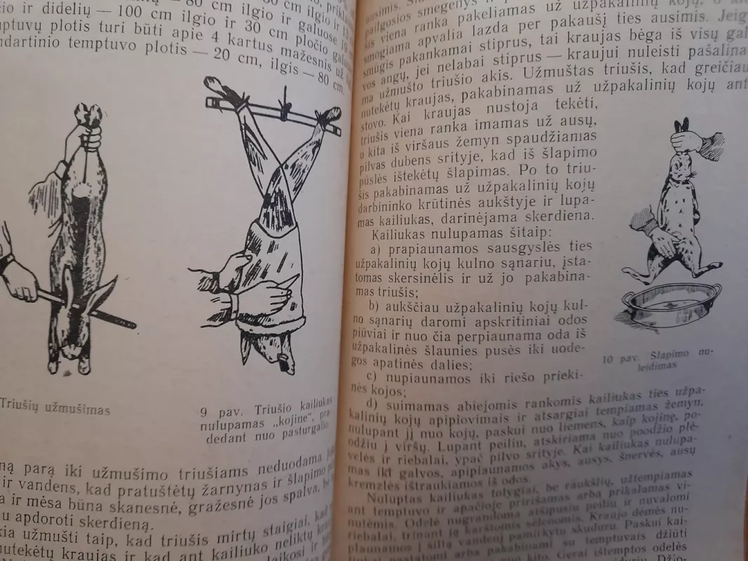 Triušių auginimas - Vaclovas Karvelis, knyga 5